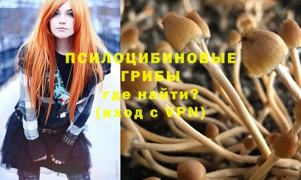 метадон Липки