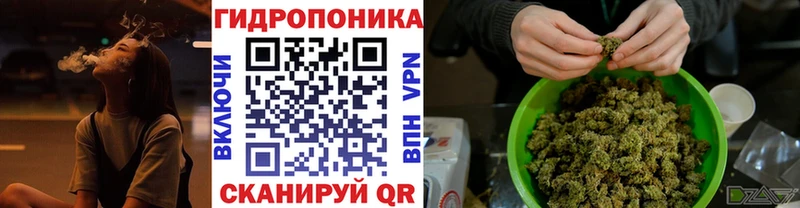 Канабис индика  Купить закладки  Новошахтинск 